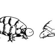 a robot resembling a tortoise, complete with metallic shell and little banded robot legs. its head is spherical and has a tiny smiley face. an actual tortoise is sitting just by it, looking somewhat unconvinced.